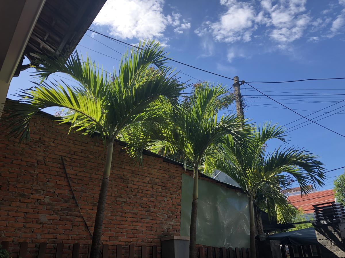 הוי אן Three Palms Homestay מראה חיצוני תמונה